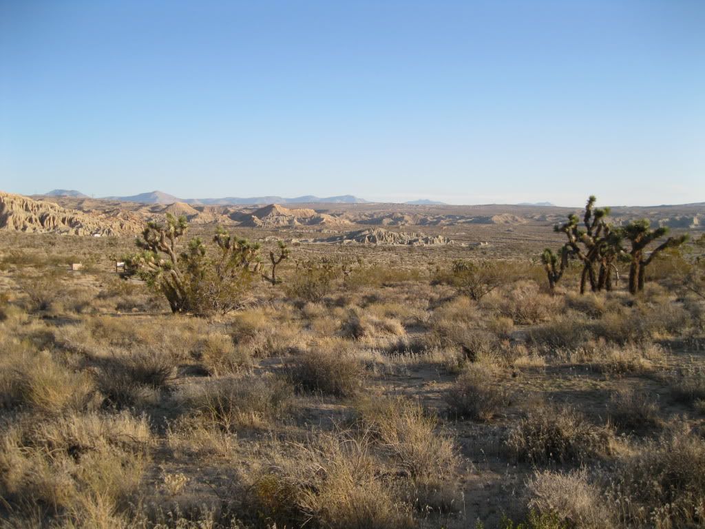 MojavedesertAdventure015.jpg