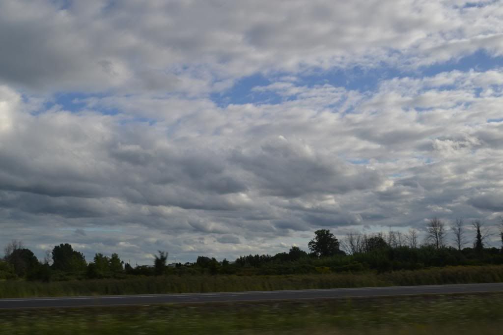  photo DSC_0412_zpsb7df1dfd.jpg