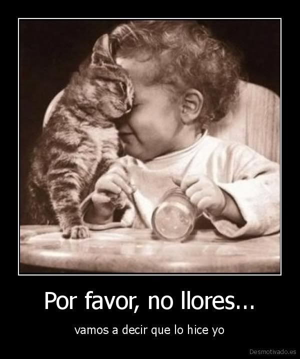 imagenes imagenes
