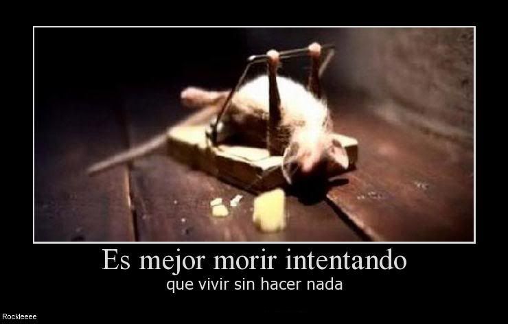 todo todo