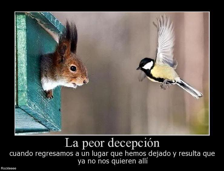 entra no te vas a arrepentir! entra no te vas a arrepentir!