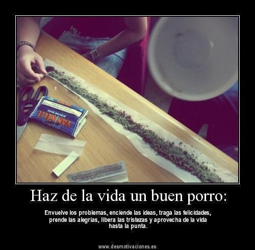 humor humor