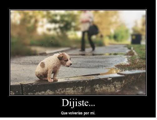 imagenes imagenes