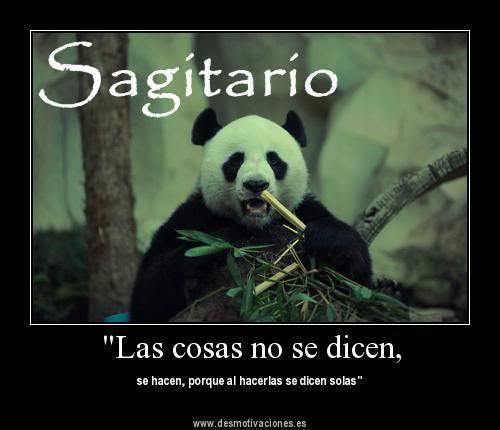 todo todo