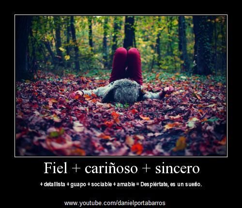 frases frases
