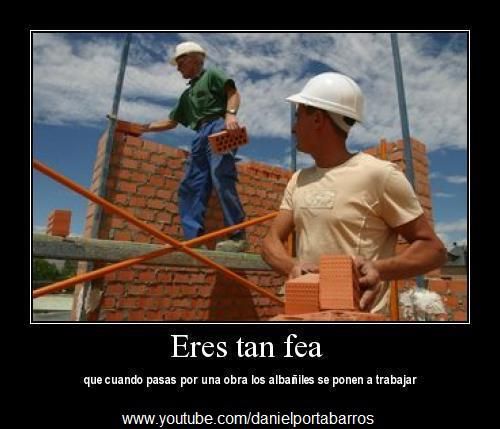 frases frases