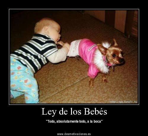 frases frases
