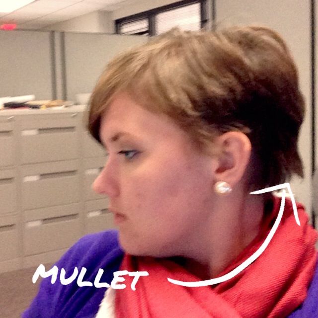 photo MULLET1_zpsdcce2c8f.jpg