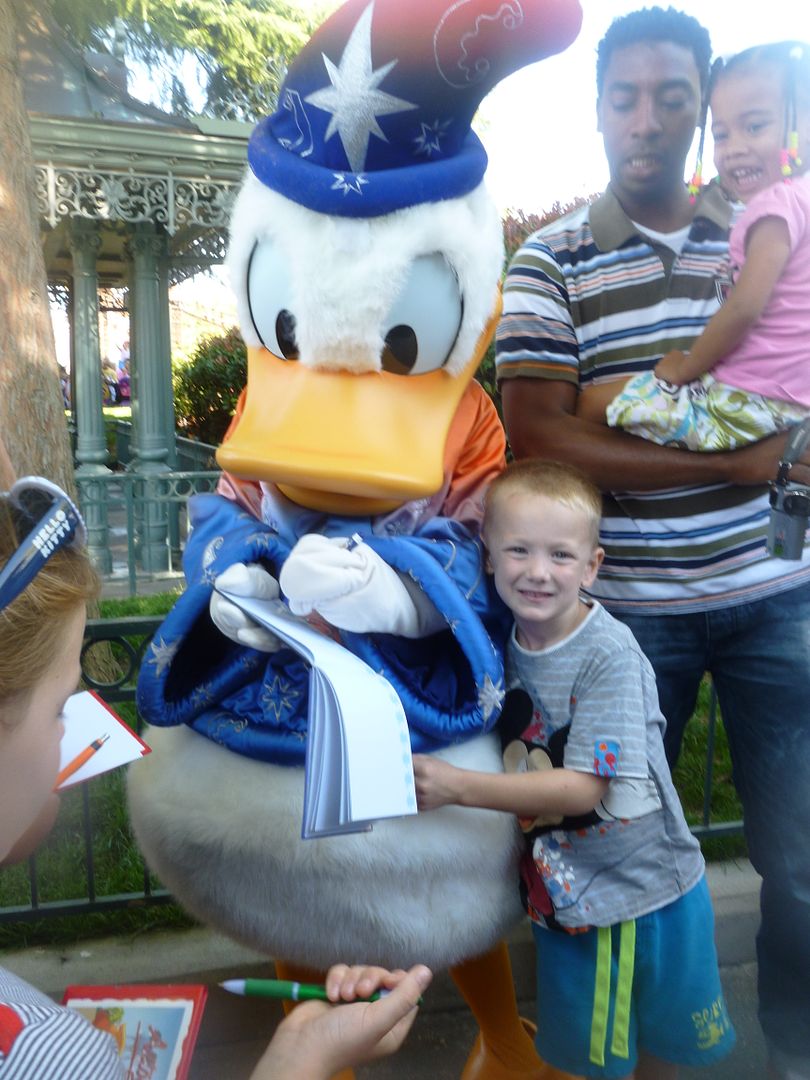 donald duck