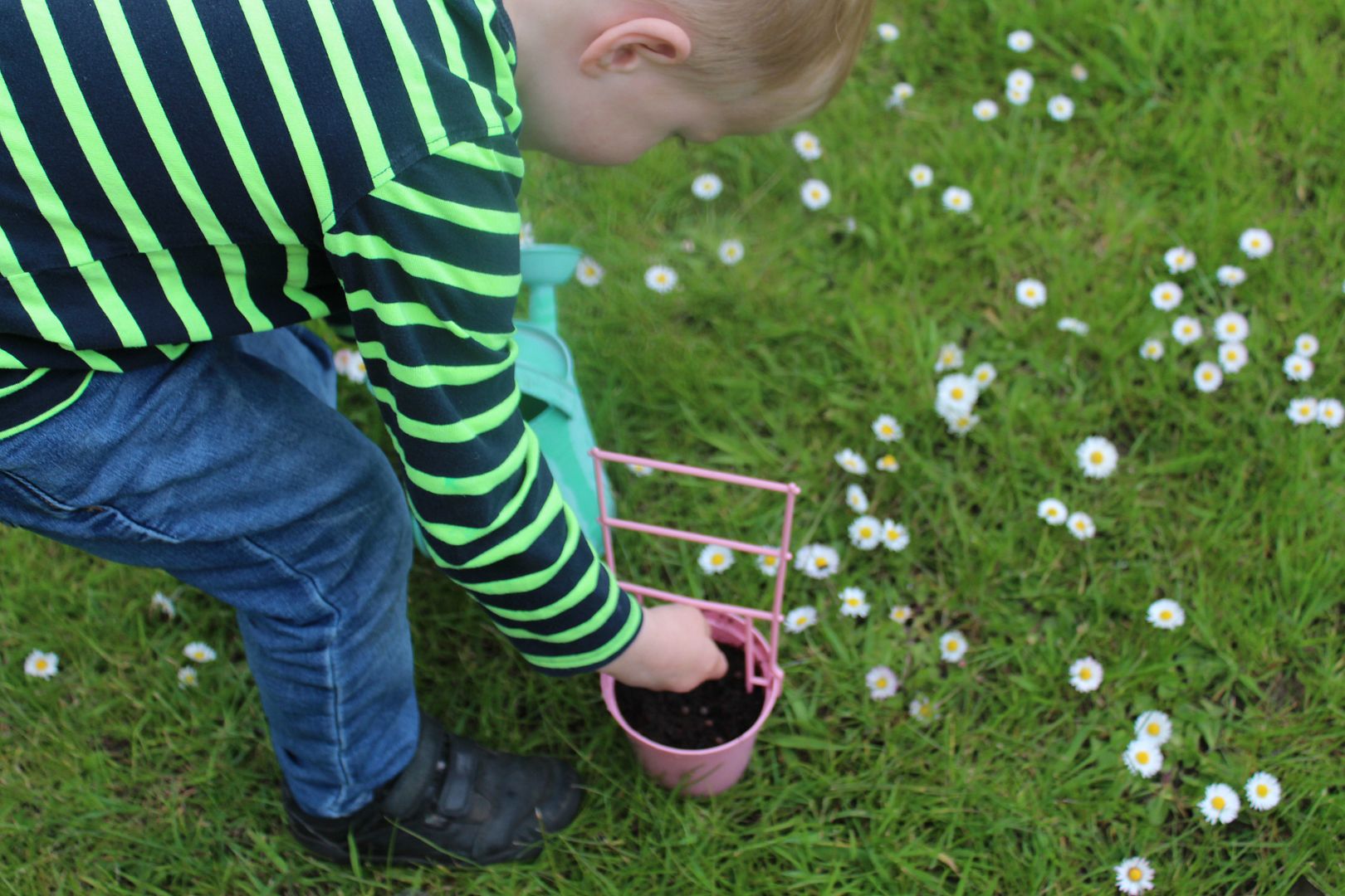 planting seeds