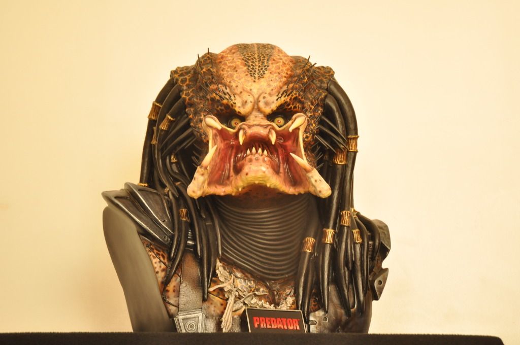 ALIEN And PREDATOR 11 Collection Sideshow Statue Forum