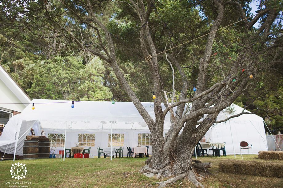 Coromandel Wedding Photographers Rach & Trent's beautiful Waikawau