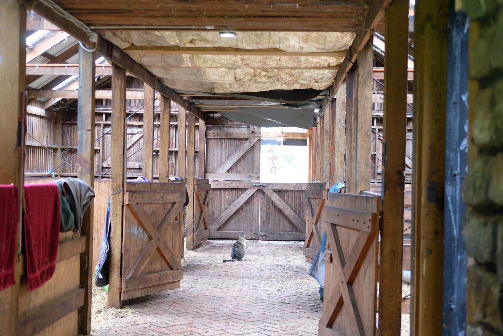 photo Collingwood Childrens Farm 4.jpg