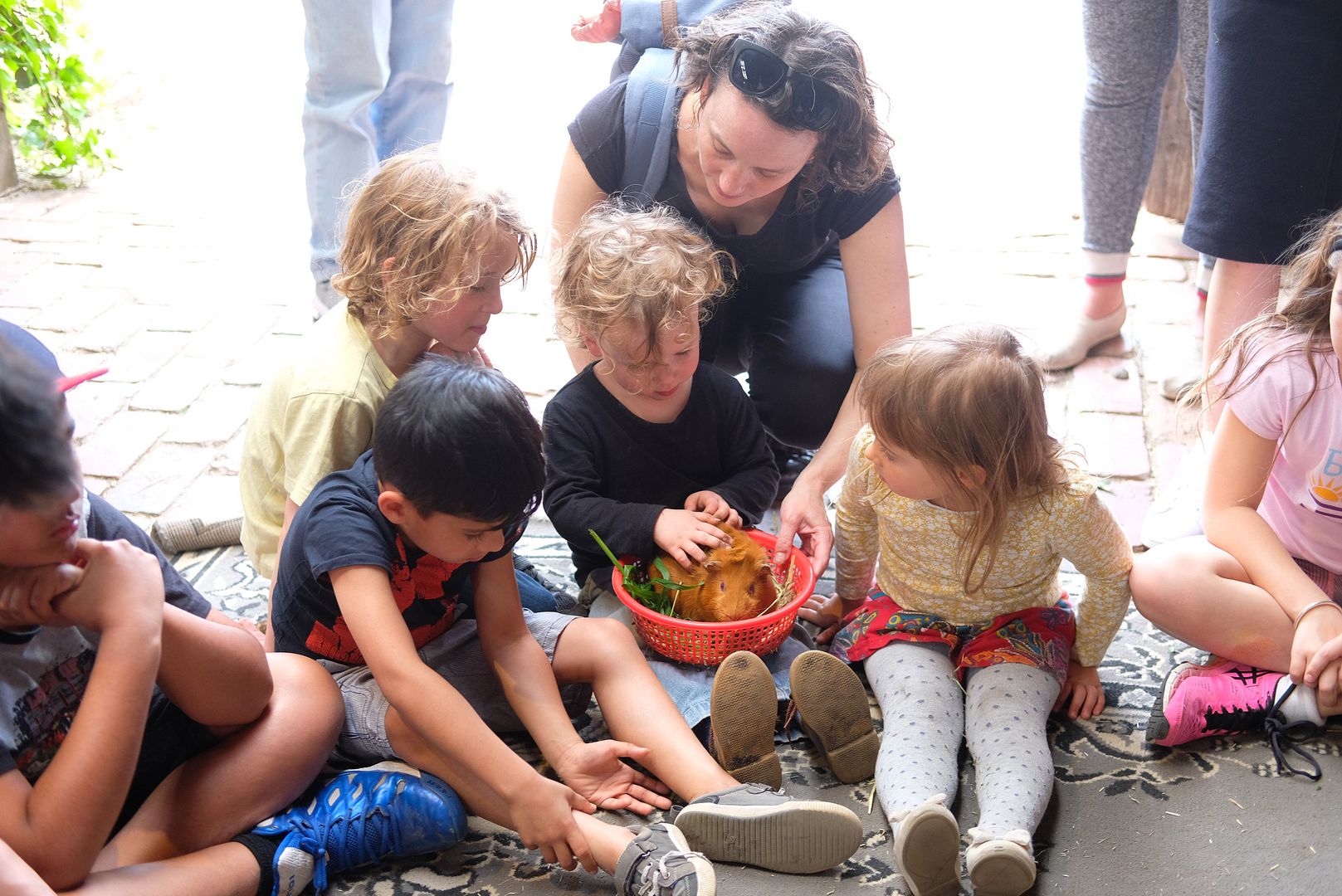 photo Collingwood Childrens Farm 7.jpg