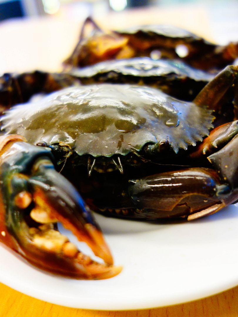 photo crabs_1.jpg