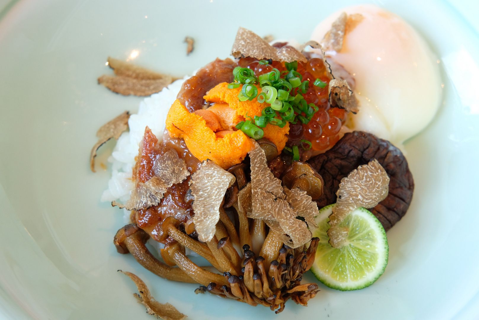 photo nami singapore gyudon beef bowl.jpg