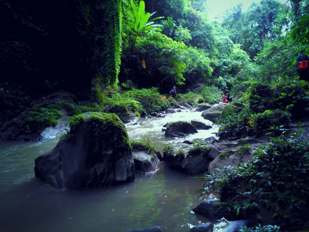 হরিচন্দ্রপাড়া যাওয়ার পথে