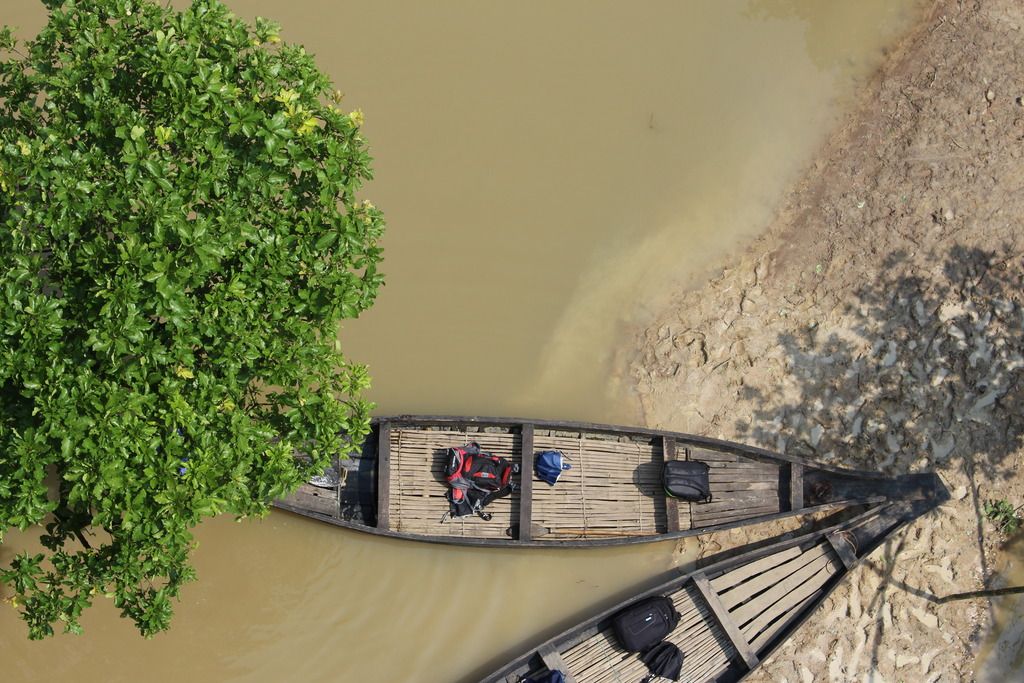 রাতারগুল জলাবনের ওয়াচ টাওয়ার থেকে একটি কমন শট