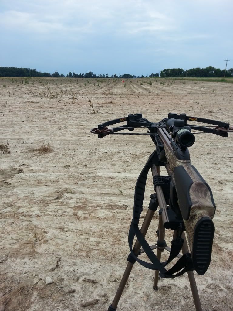 Nikon Bolt XR Crossbow Nation