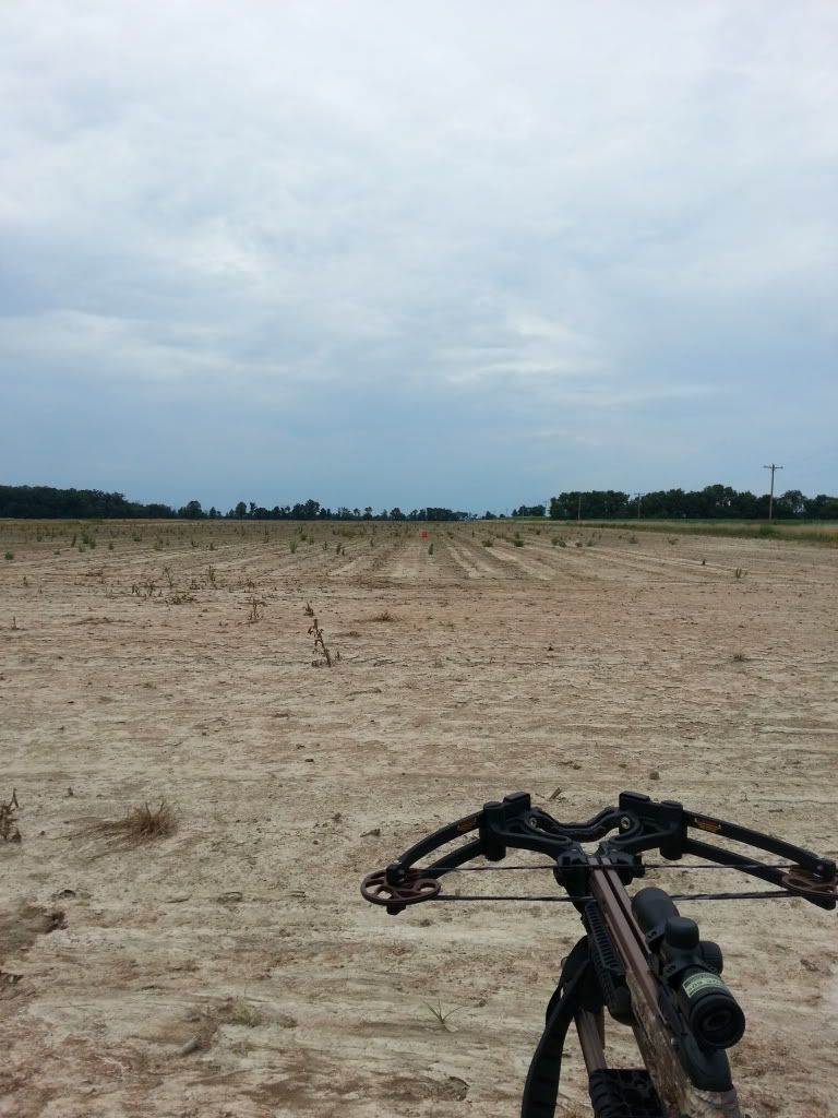 Nikon Bolt XR Crossbow Nation