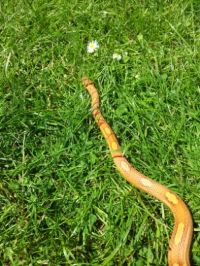 20130603_132421.jpg