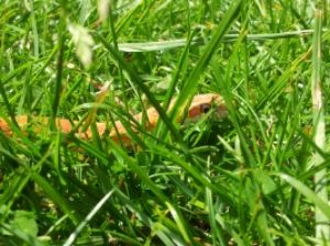 20130603_132922.jpg