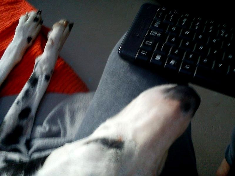 10817484_1018608134831363_1499721591_o_z