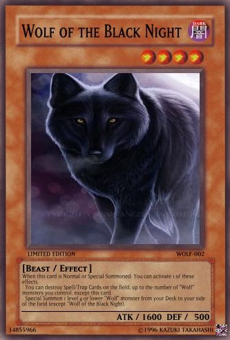 WolfoftheBlackNight-1.jpg