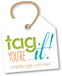 Tag You're It Challenge
