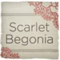 Scarlet Begonia Vintage