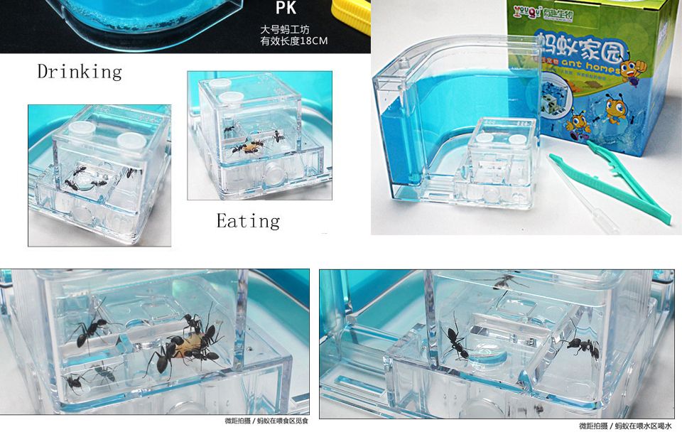  photo 2_zpsdd91aa8b.jpg