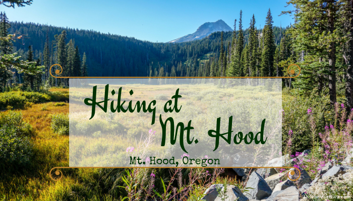 Photo Journal: Hiking at Mt. Hood