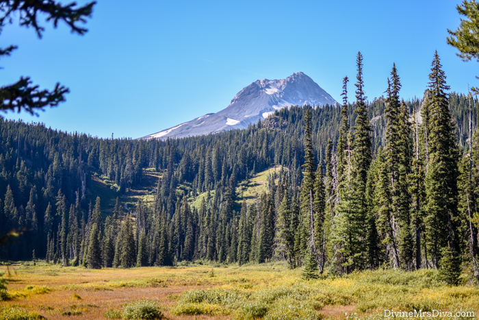 A photo journal of our Labor Day hike near Mt. Hood, Oregon. – DivineMrsDiva.com #travel #vacation #plussizetravel #psblogger #plussizeblogger #plussize #psootd #plussizeclothing #plussizecasual #oregon #mthood #hiking #pnw #pacificnorthwest