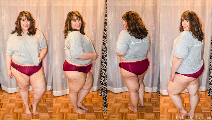 In today's post Hailey reviews lingerie, sleepwear, and panties from Hips and Curves, Torrid, and Lane Bryant. (Hips and Curves Darcie Cheeky Brief with Side Lace Panels) - DivineMrsDiva.com #LaneBryant #Torrid #TorridInsider #HipsandCurves #befullyyou #Ilovemyhipsandcurves #psblogger #plussizeblogger #styleblogger #plussizelingerie #plussize #fittingroom #plussizepanties 