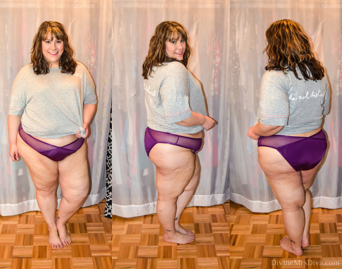 In today's post Hailey reviews lingerie, sleepwear, and panties from Hips and Curves, Torrid, and Lane Bryant. (Hips and Curves Microfiber High Cut Brief) - DivineMrsDiva.com #LaneBryant #Torrid #TorridInsider #HipsandCurves #befullyyou #Ilovemyhipsandcurves #psblogger #plussizeblogger #styleblogger #plussizelingerie #plussize #fittingroom #plussizepanties 