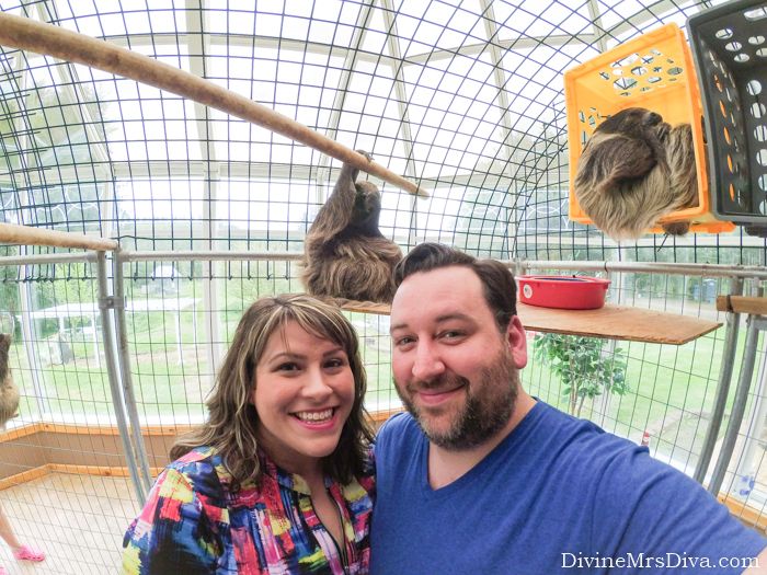My Birthday Weekend: Outfits, Adventures, and Sloths! Oh my! (Visiting Sloths at the Zoological Wildlife Conservation Center) - DivineMrsDiva.com  #psblogger #plussizeblogger #zwcc #sloths #pdx #portland 