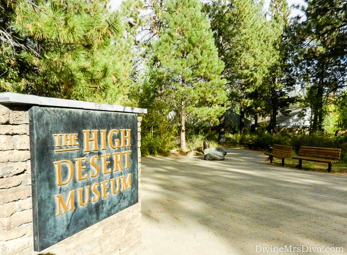 It’s road trip time!  Today, Hailey takes you along for the ride through Oregon - to Bend and Crater Lake! The High Desert Museum was definitely worth a visit! – DivineMrsDiva.com #travel #vacation #plussizetravel #roadtrip #oregon #bendoregon #bendor #bend #highdesertmuseum 