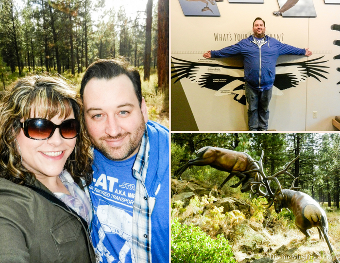 It’s road trip time!  Today, Hailey takes you along for the ride through Oregon - to Bend and Crater Lake! The High Desert Museum was definitely worth a visit! – DivineMrsDiva.com #travel #vacation #plussizetravel #roadtrip #oregon #bendoregon #bendor #bend #highdesertmuseum 