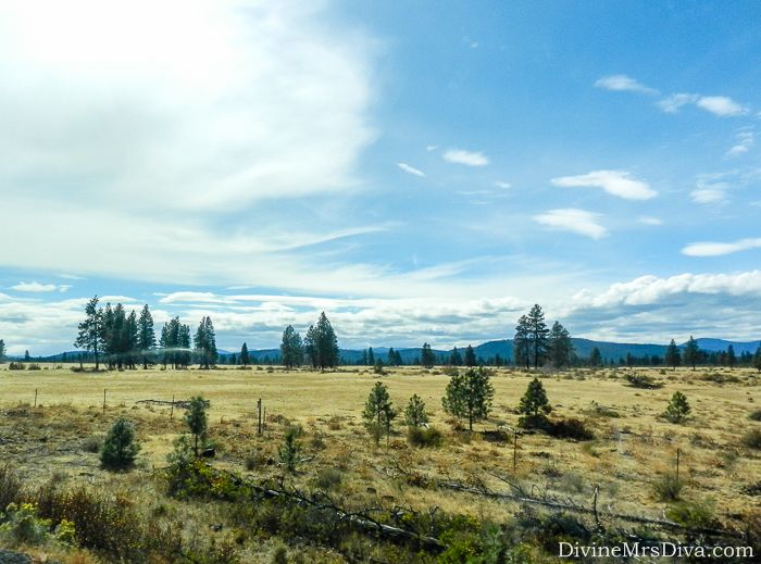 It’s road trip time!  Today, Hailey takes you along for the ride through Oregon - to Bend and Crater Lake! – DivineMrsDiva.com #travel #vacation #plussizetravel #roadtrip #oregon #bendoregon #bendor #bend #highdesertmuseum #curbbq #deschutesbrewery #craterlake #craterlakeoregon #craterlakeor