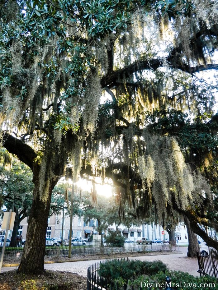 In today's post, Hailey reminsces on her trip to Savannah, Georgia to visit her sister, thinking on the quality time she spent with her family and talking about some of the sightseeing in the city they all did together. (River Street and Downtown Savannah Historic District) - DivineMrsDiva.com #Savannah #SavannahGA #travel #vacation #plussizetravel #RiverStreet #EmmetPark #CityMarket