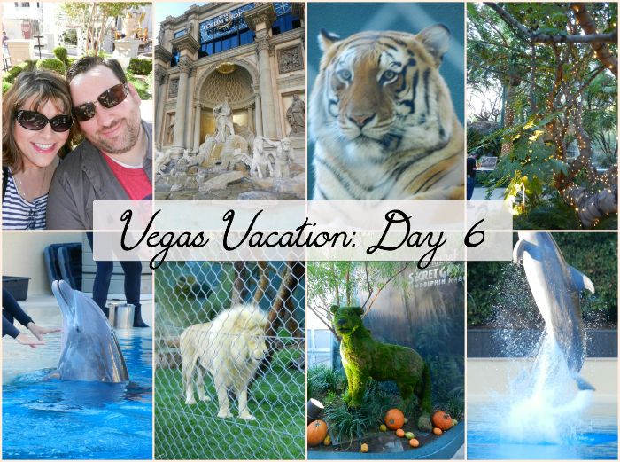 Vegas Vacation Recap: Day 6