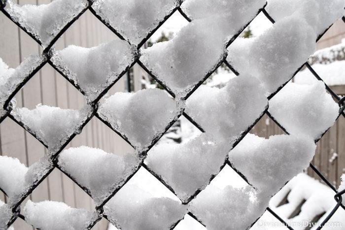 Snow Day in PDX - DivineMrsDiva.com #snow #snowday #nature #pdx #portland #portlandor