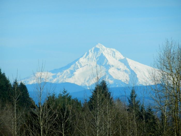 What I Wore: Shiny Hearts (Mount Hood, Oregon) - DivineMrsDiva.com
