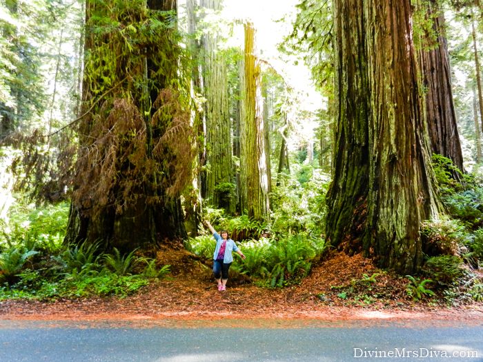 In her final Redwoods Road Trip post, Hailey shares her road-tripping wardrobe and talks about her go-to travel pieces. – DivineMrsDiva.com #travel #vacation #plussizetravel #roadtrip #california #northerncalifornia #redwoods #psblogger #plussizeblogger #styleblogger #plussizefashion #plussize #psootd #ootd #plussizeclothing #outfit #style #plussizecasual