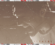 14.gif
