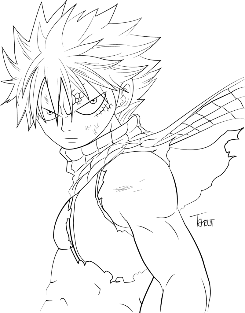 Natsu2.png