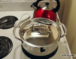 1314011585_cooking_with_cat.gif