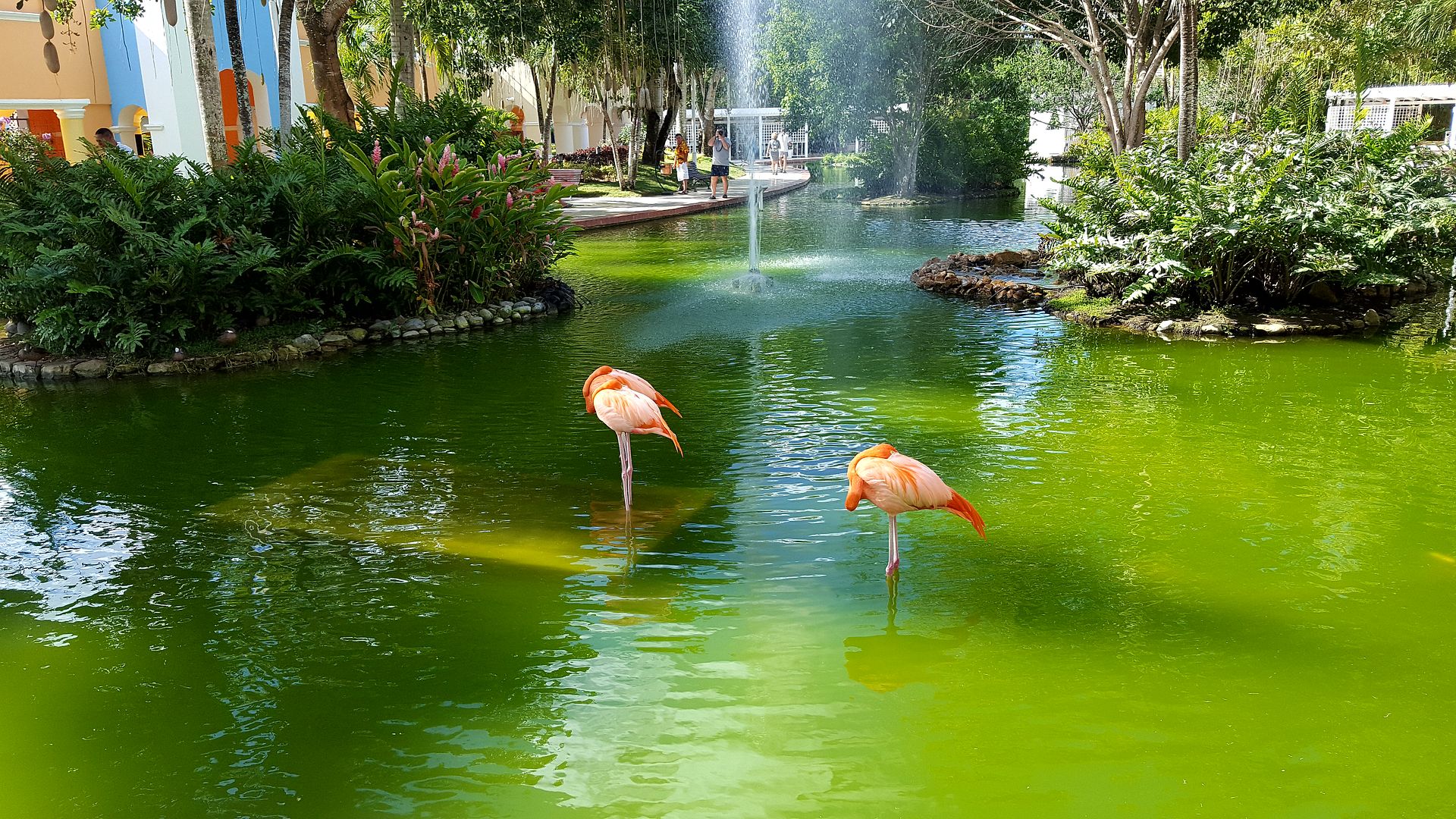 Iberostar Hacienda Dominicus - Foro Punta Cana y República Dominicana