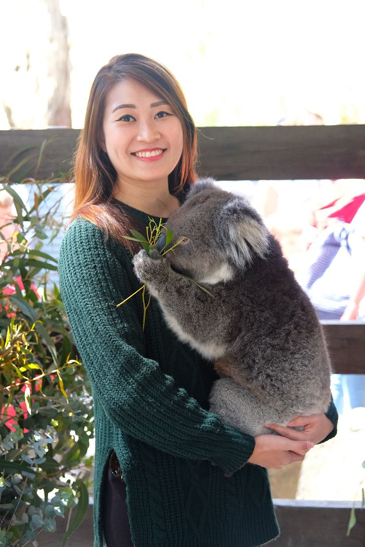 photo gorge wildlife park cudlee 
creek.jpg