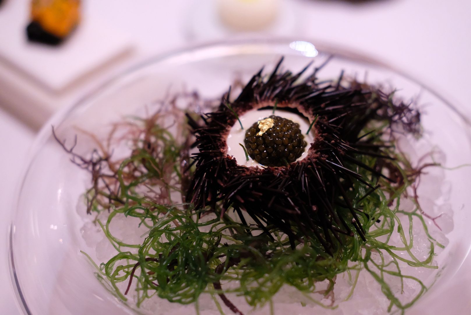 photo Odette Singapore sea urchin uni.jpg